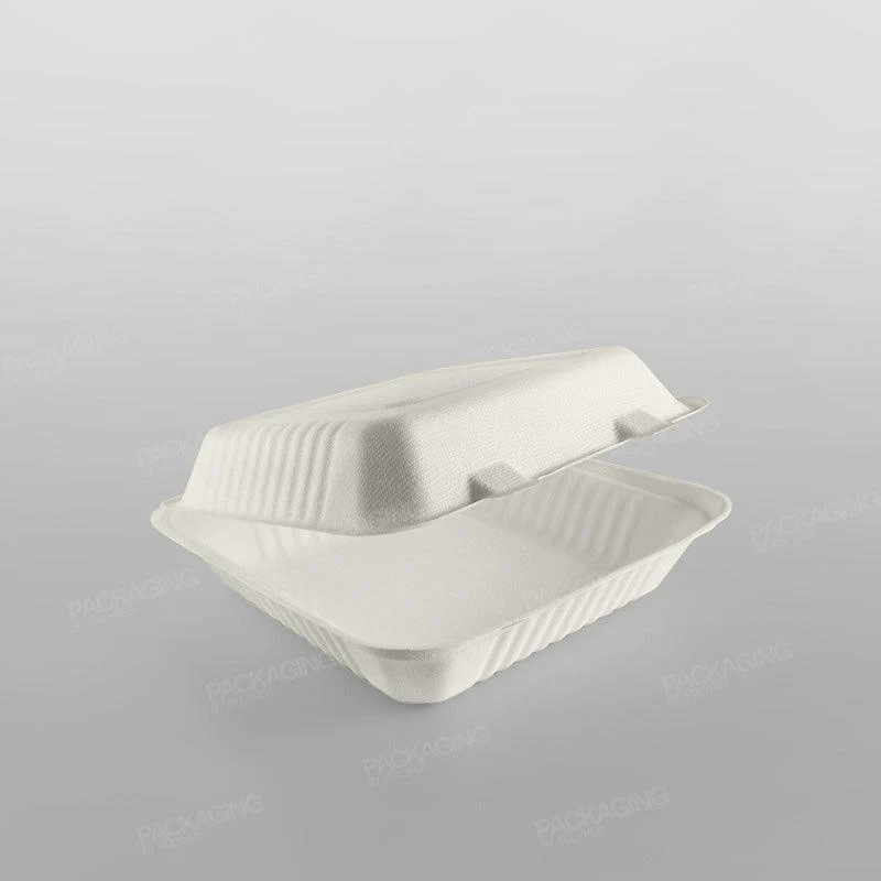 Bagasse Compostable 9 Inch Square Clamshell Meal Box - Image 3