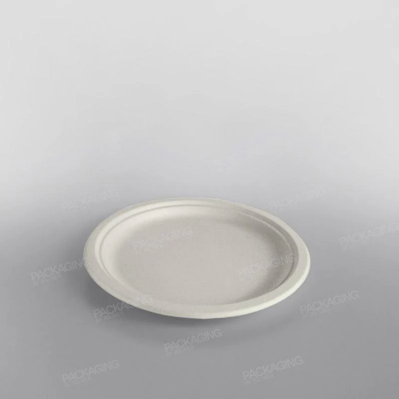Bagasse Dinner Plate - Image 5