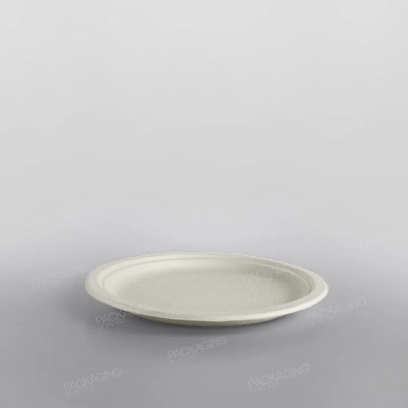 Bagasse Dinner Plate - Image 6