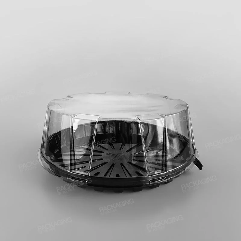 GPI Actipack Clear Cake Domed Lid - Image 11