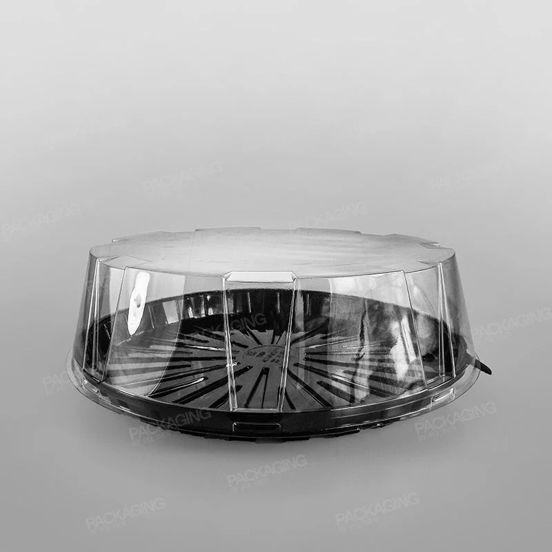 GPI Actipack Clear Cake Domed Lid - Image 15