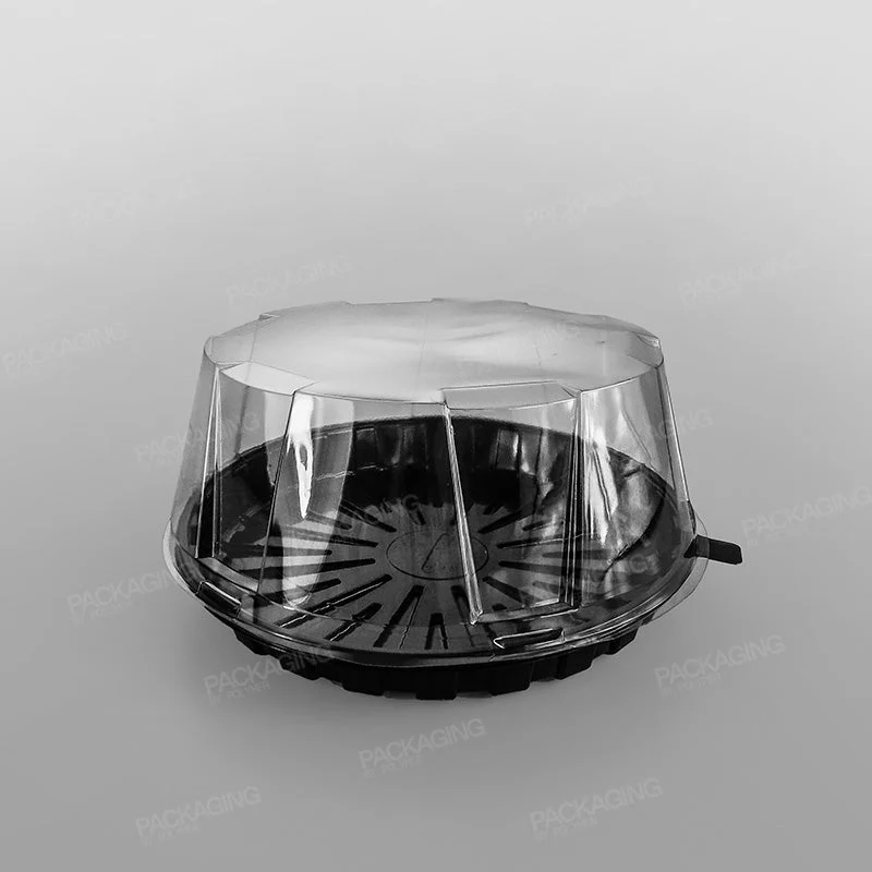 GPI Actipack Clear Cake Domed Lid - Image 7