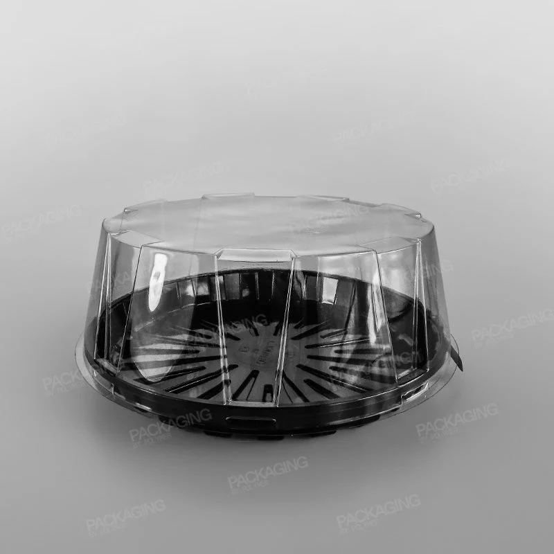 GPI Actipack Clear Cake Domed Lid - Image 9