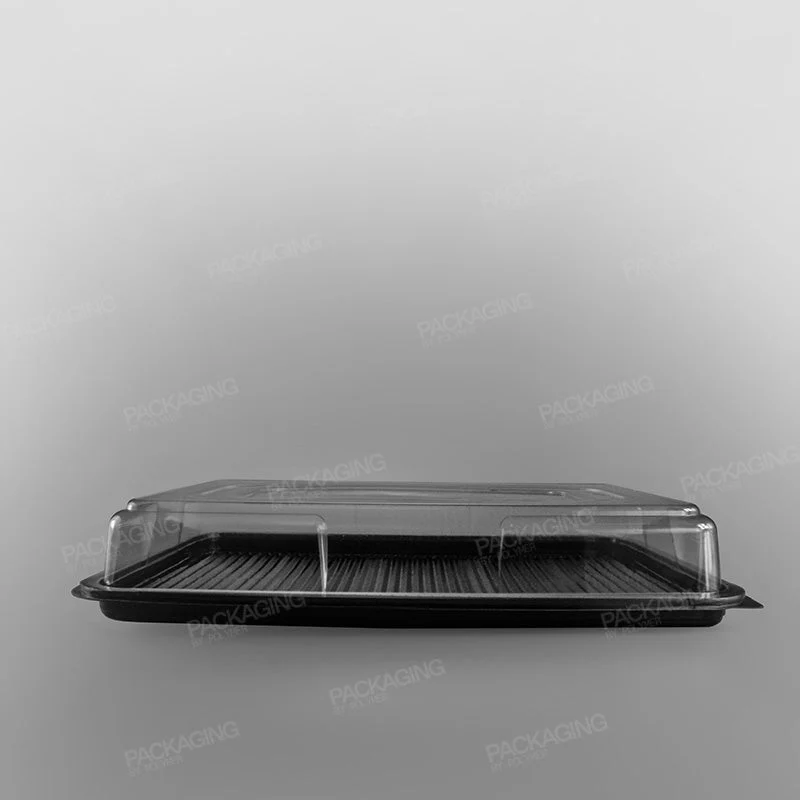 Plastic Rectangular Platter - Black Base - Image 9