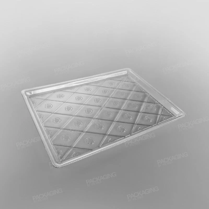 Plastic Rectangular Tray Clear - Image 3