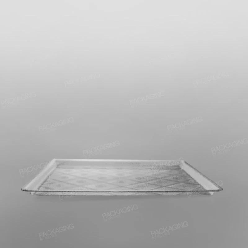 Plastic Rectangular Tray Clear - Image 4