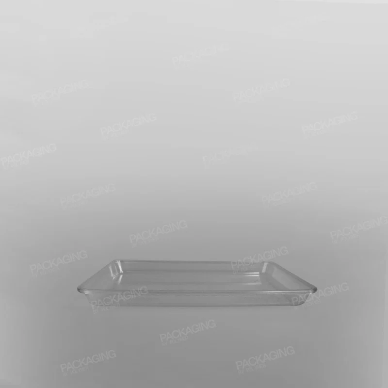 Plastic Rectangular Tray Clear - Image 6