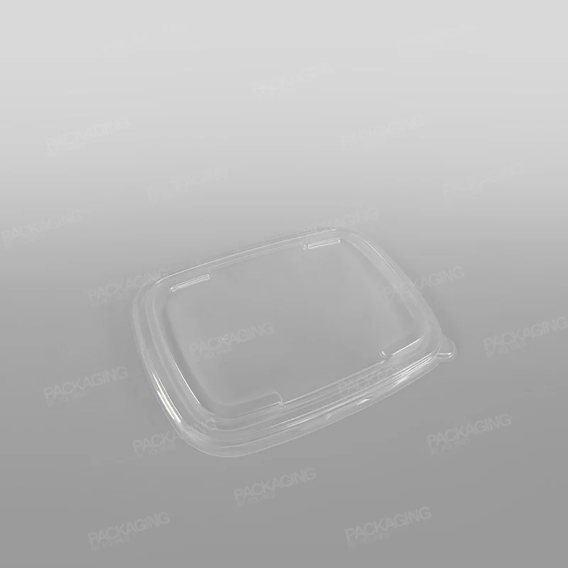 Eco-Friendly Hot Food Packaging